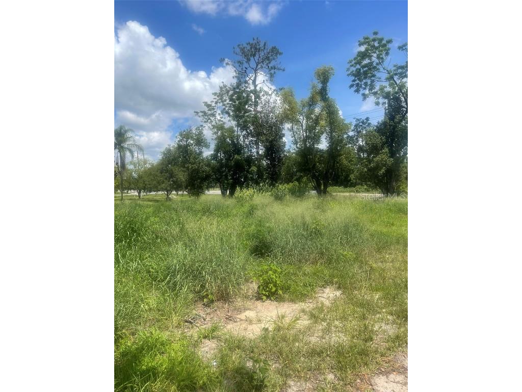 14435 Oak Street Groveland FL 34736 S5128662 image7