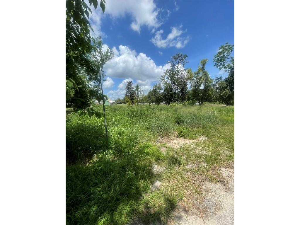 14435 Oak Street Groveland FL 34736 S5128662 image8