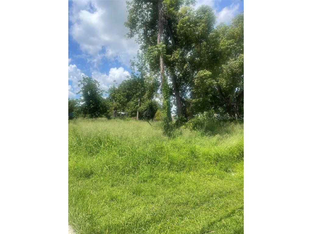 14435 Oak Street Groveland FL 34736 S5128662 image9