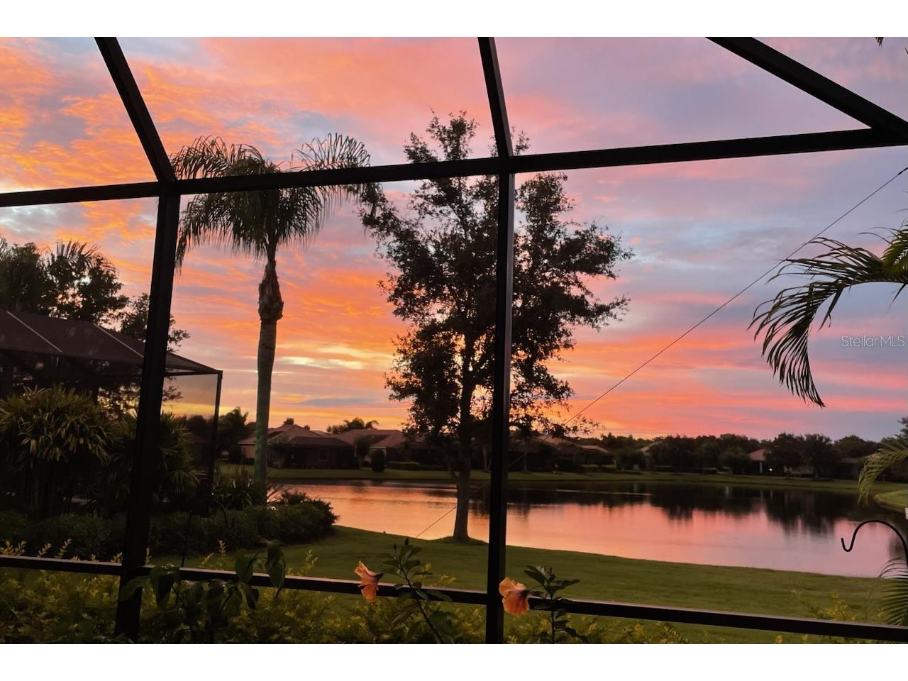 14435 Whitemoss Terrace Lakewood Ranch FL 34202 A4691774 image14