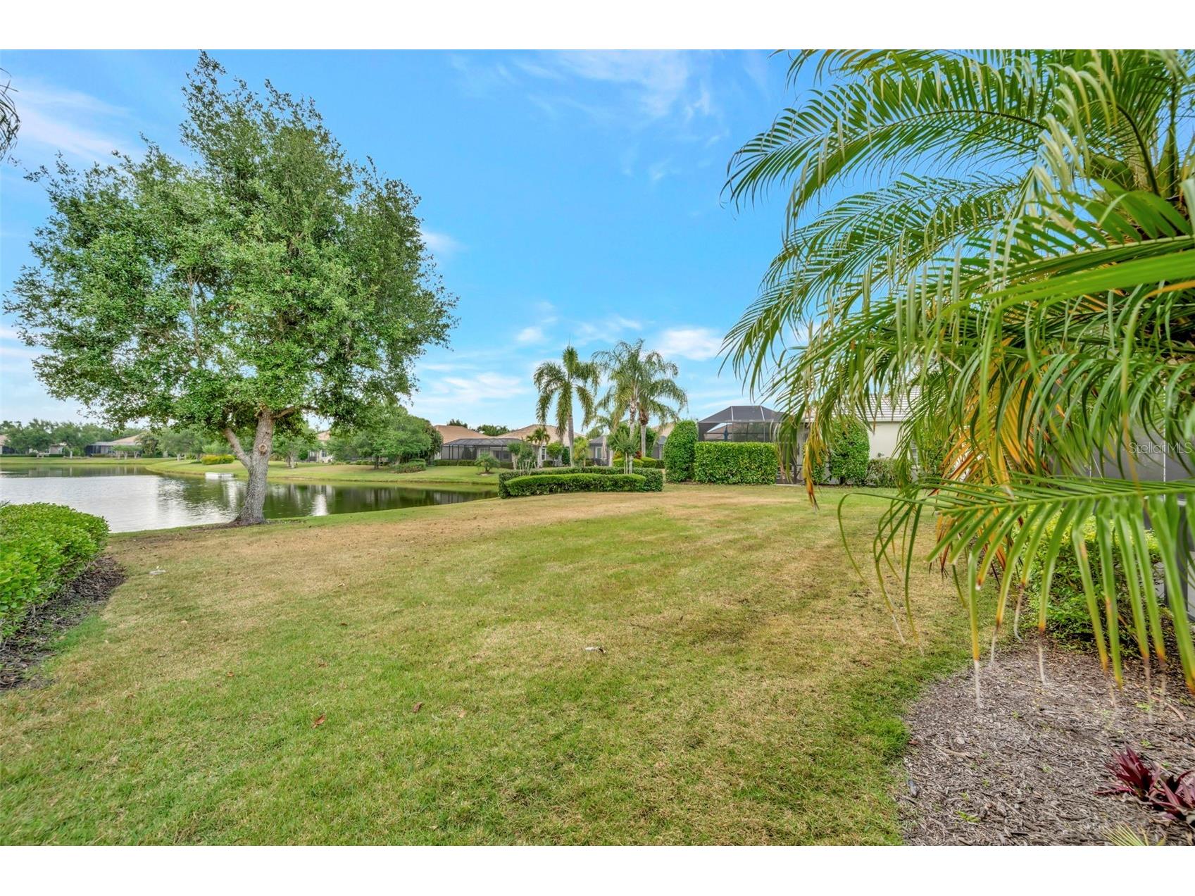 14435 Whitemoss Terrace Lakewood Ranch FL 34202 A4691774 image33