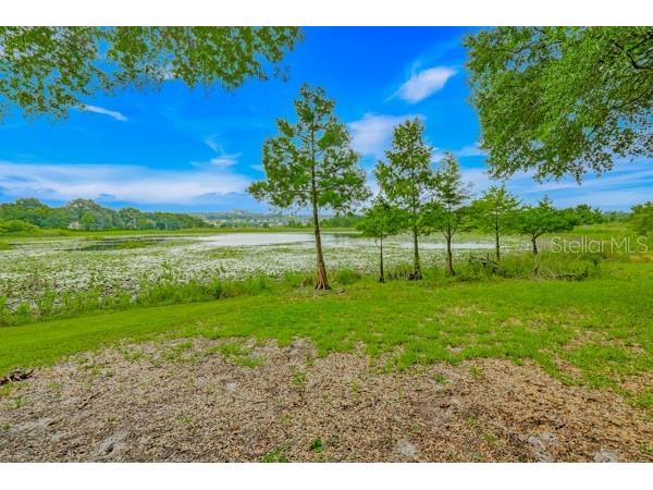 14436 Clerando Dr Clermont FL 34711 - Jacks Lake G5115055 image24