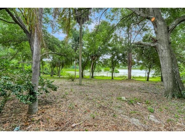 14436 Clerando Dr Clermont FL 34711 - Jacks Lake G5115055 image26