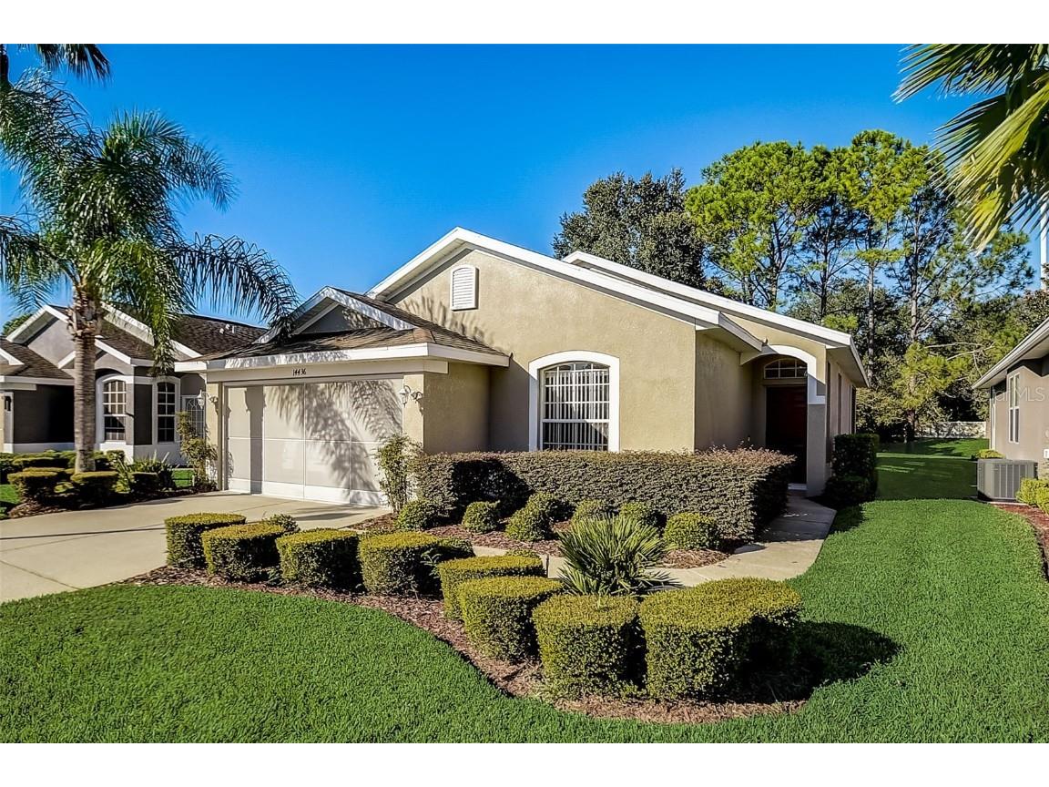 14436 Silversmith Circle Brooksville FL 34609 W7858267 image1
