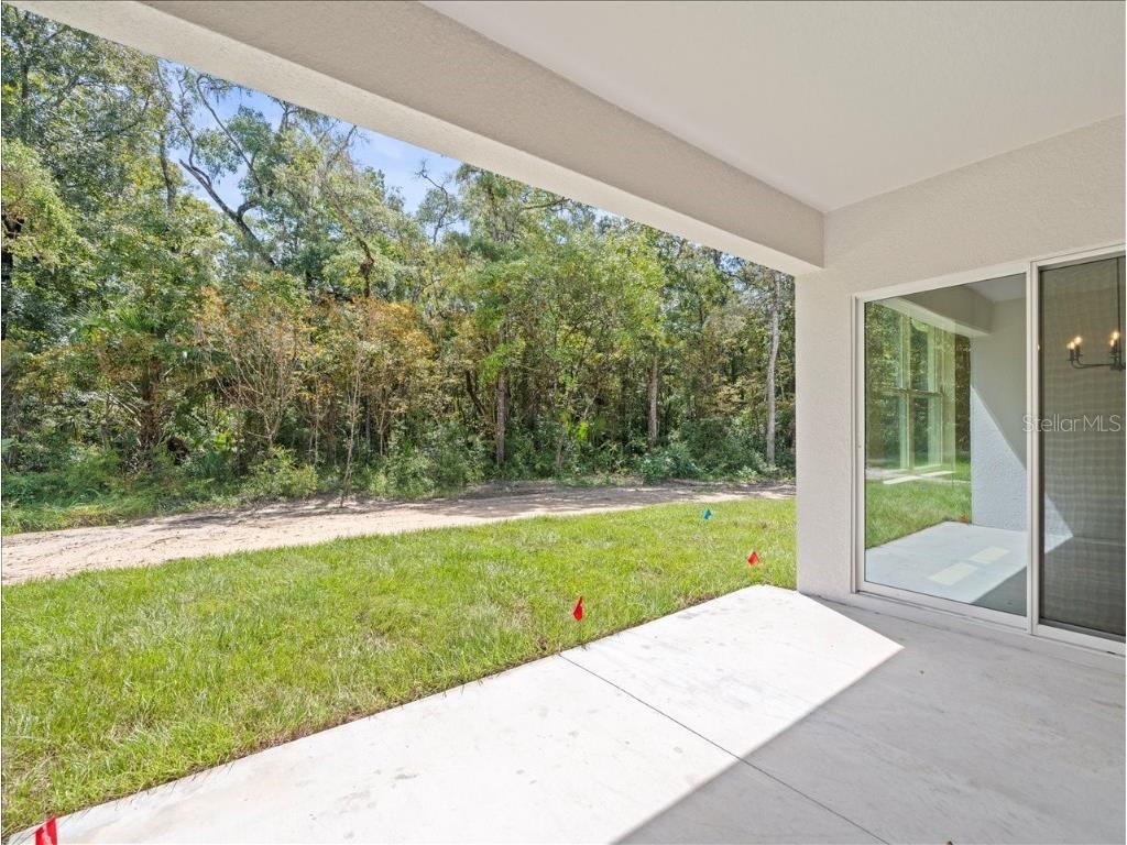 14438 Chimney Swift Road Weeki Wachee FL 34614 TB8430710 image19