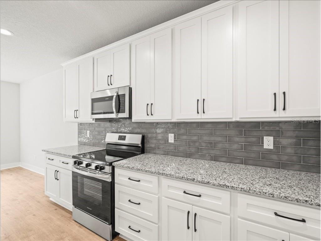 14438 Chimney Swift Road Weeki Wachee FL 34614 TB8430710 image8