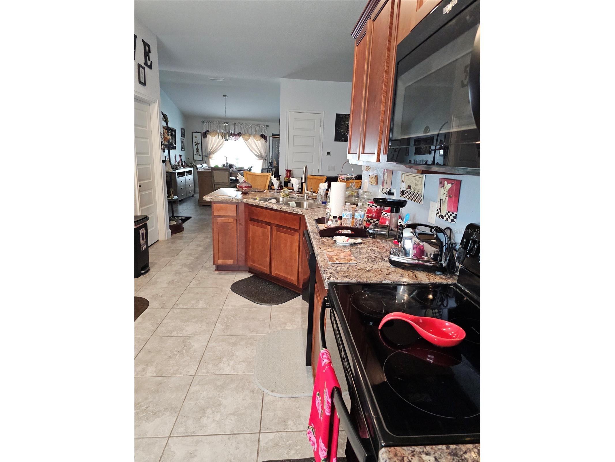 14438 Scottburgh Glen Drive Wimauma FL 33598 TB8479382 image15