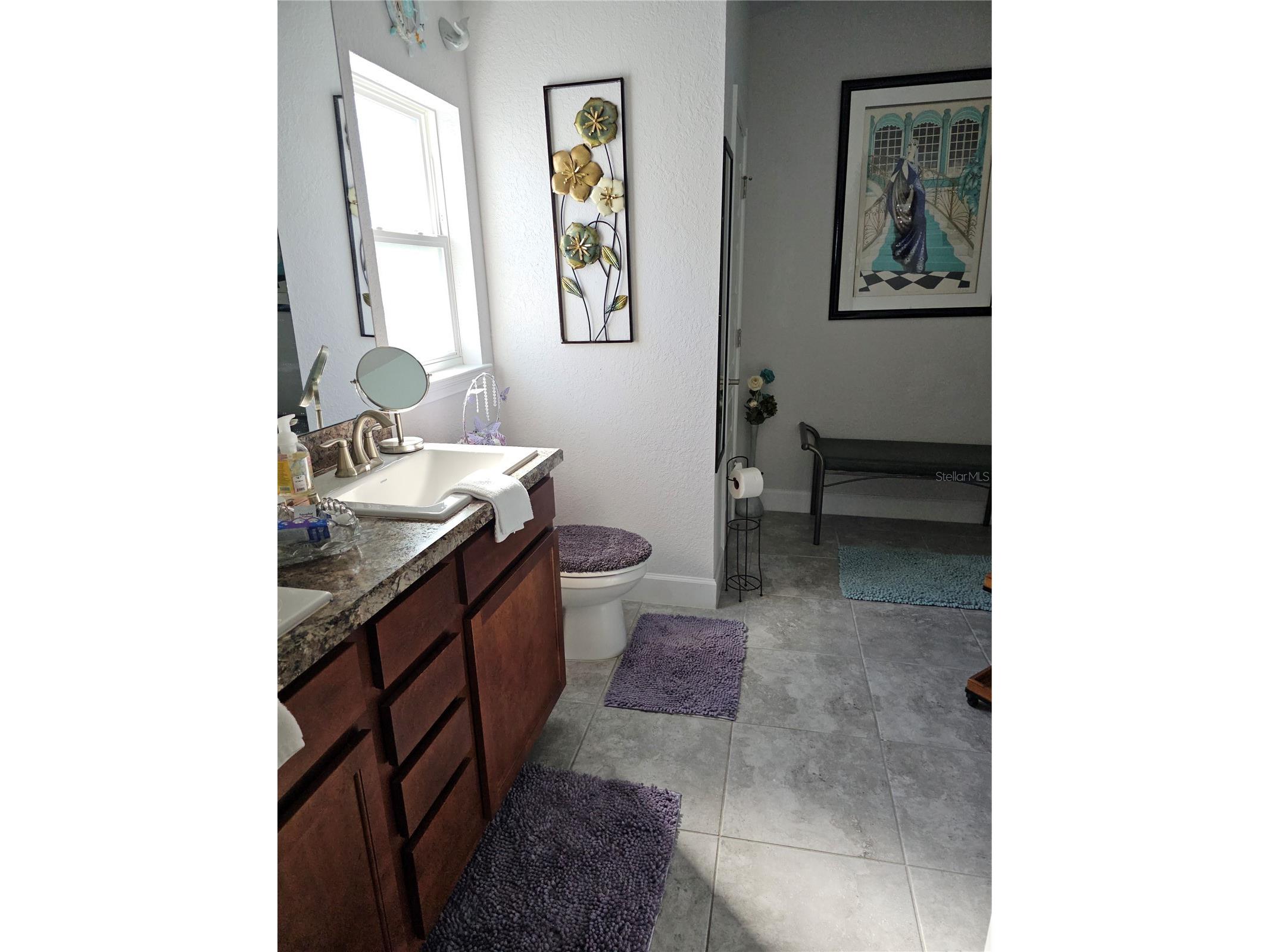 14438 Scottburgh Glen Drive Wimauma FL 33598 TB8479382 image17