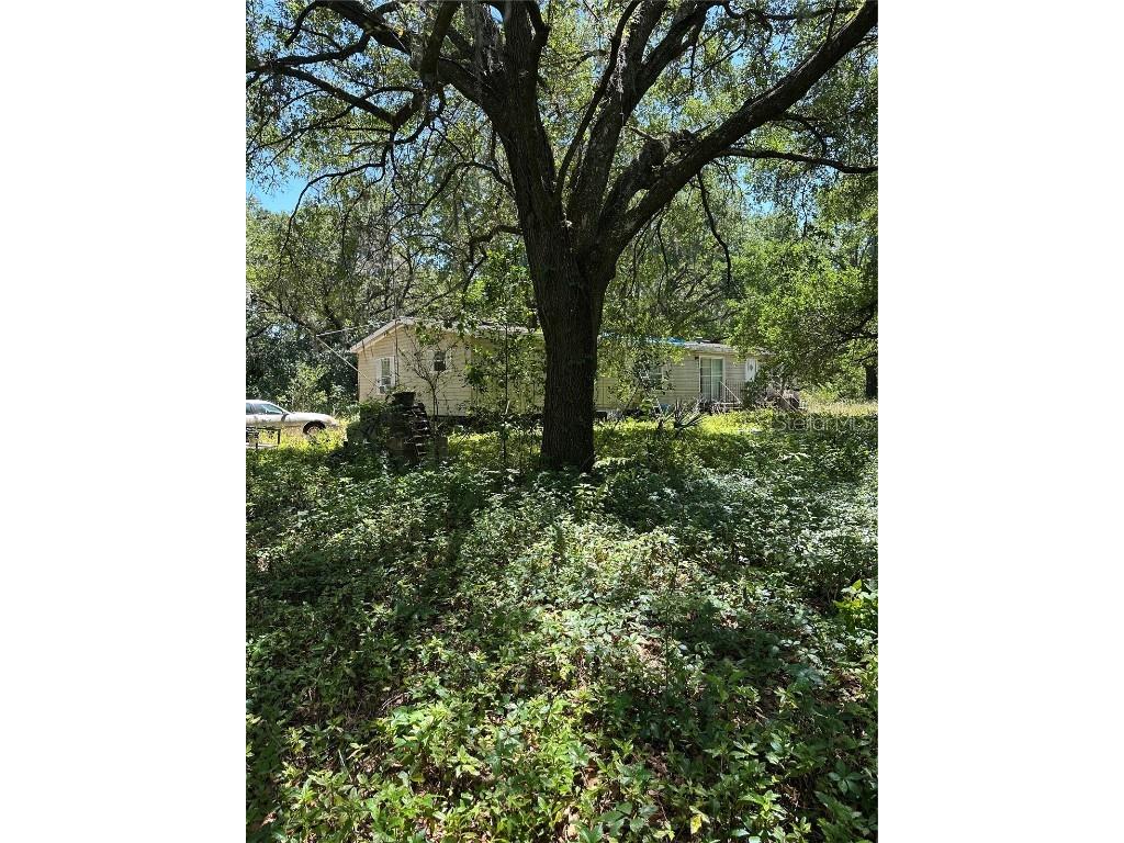 14439 Mascotte Empire Road Groveland FL 34736 V4946184 image1