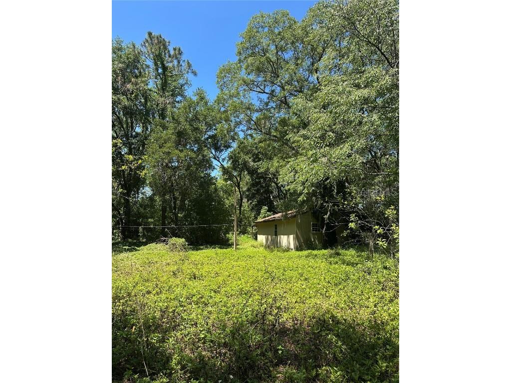 14439 Mascotte Empire Road Groveland FL 34736 V4946184 image2