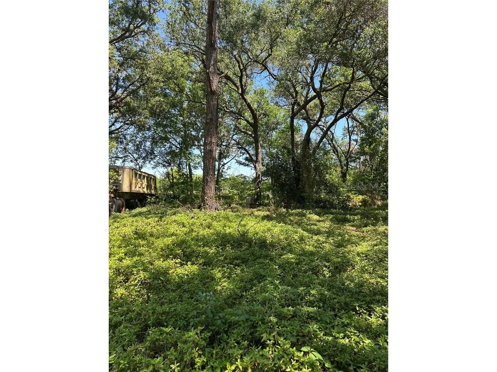 14439 Mascotte Empire Road Groveland FL 34736 V4946184 image3