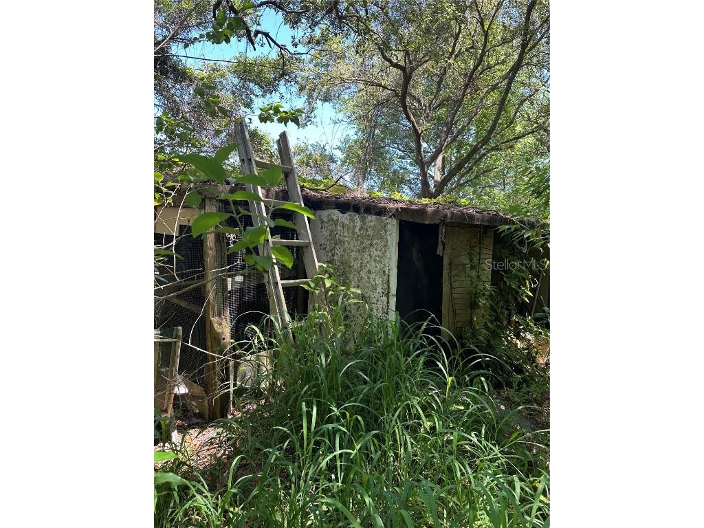 14439 Mascotte Empire Road Groveland FL 34736 V4946184 image4