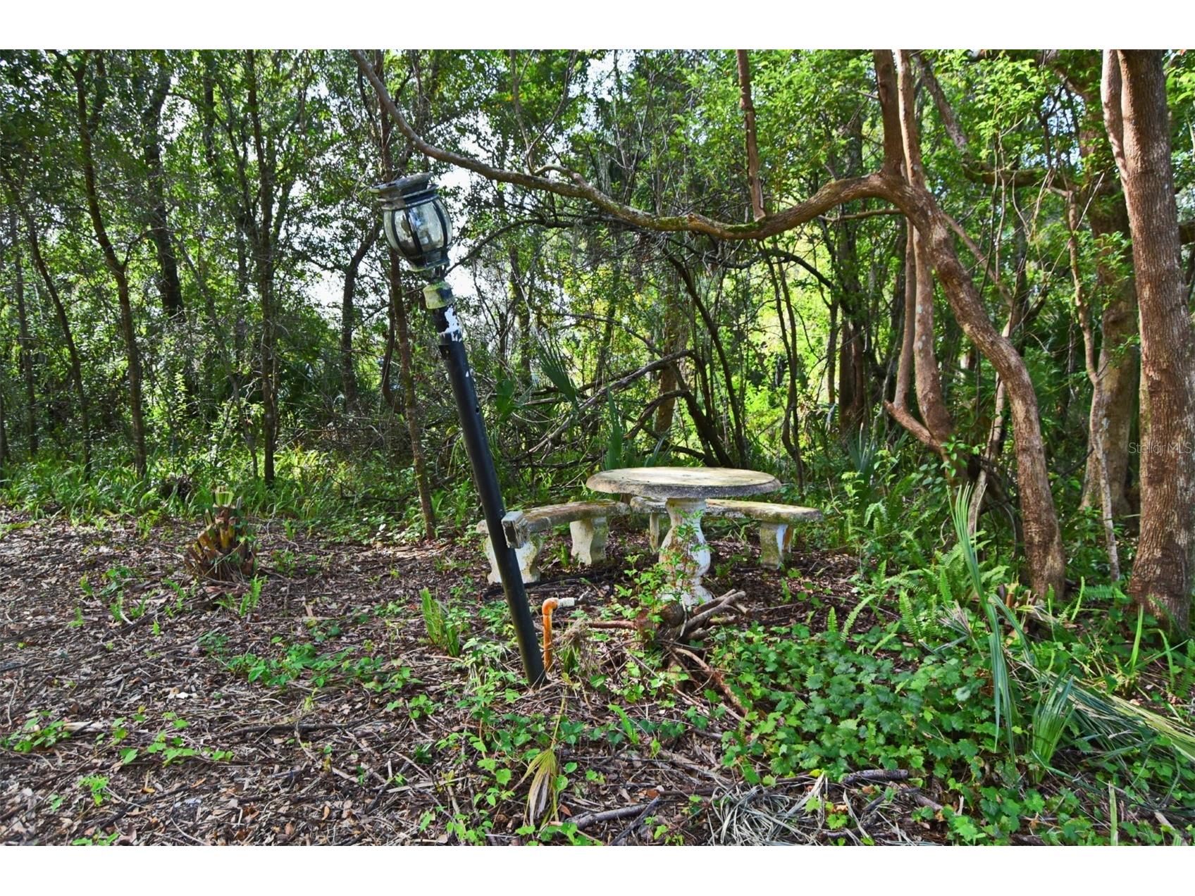 1444 Bird Road Winter Springs FL 32708 - LAKE TONY O6344113 image78