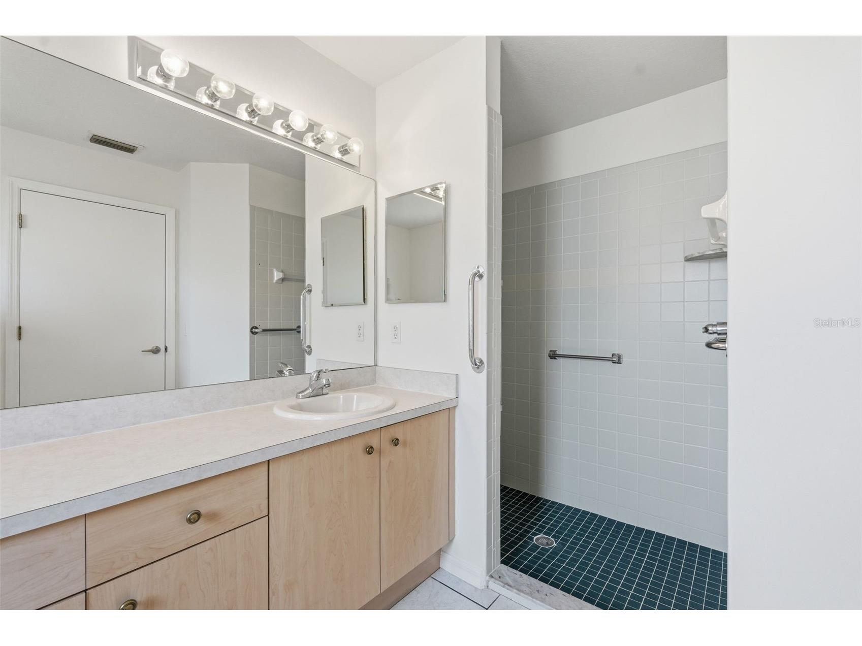 1444 Canberley Court Trinity FL 34655 A4691637 image26