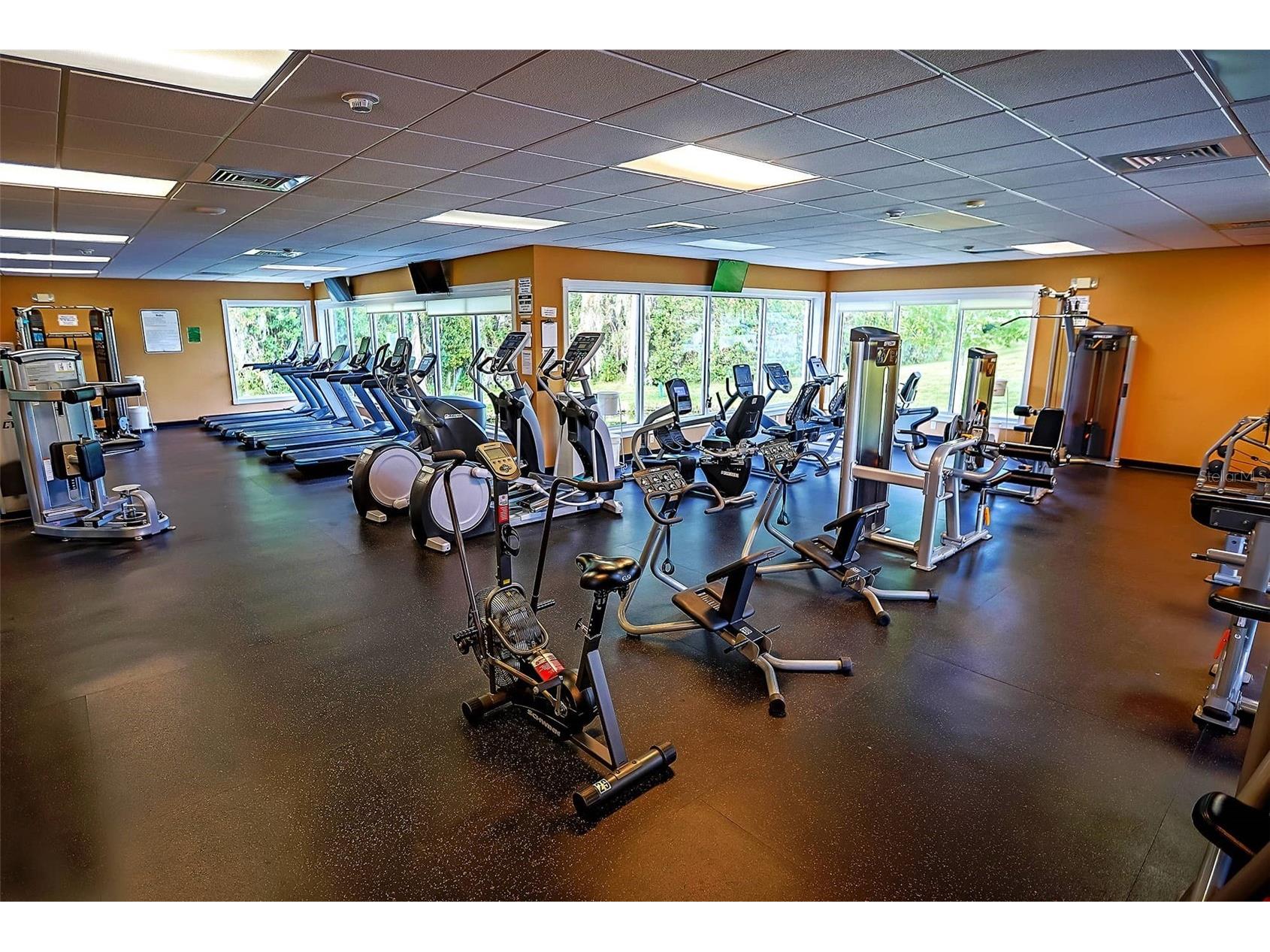 1444 Canberley Court Trinity FL 34655 A4691637 image39