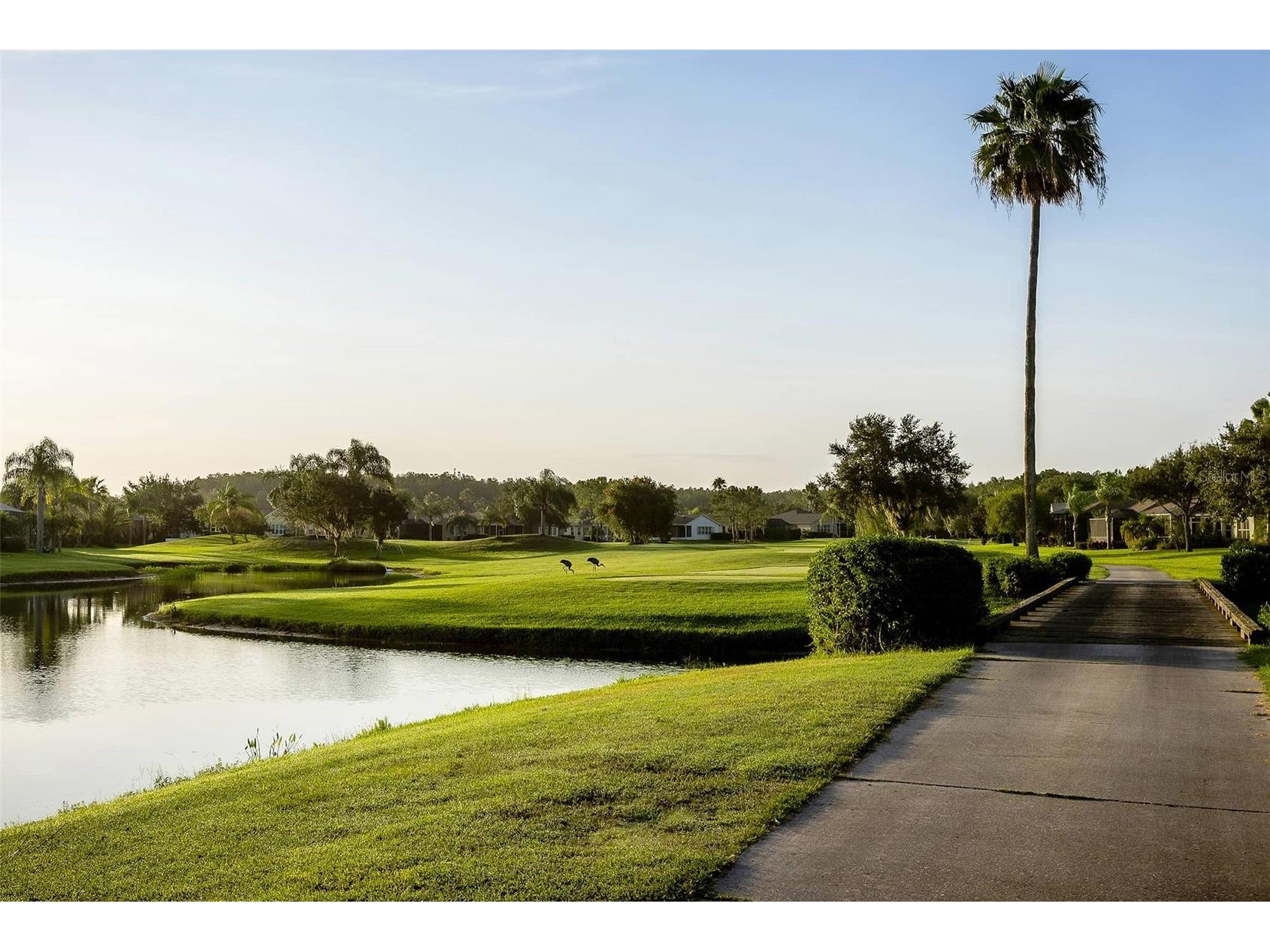 1444 Canberley Court Trinity FL 34655 A4691637 image46