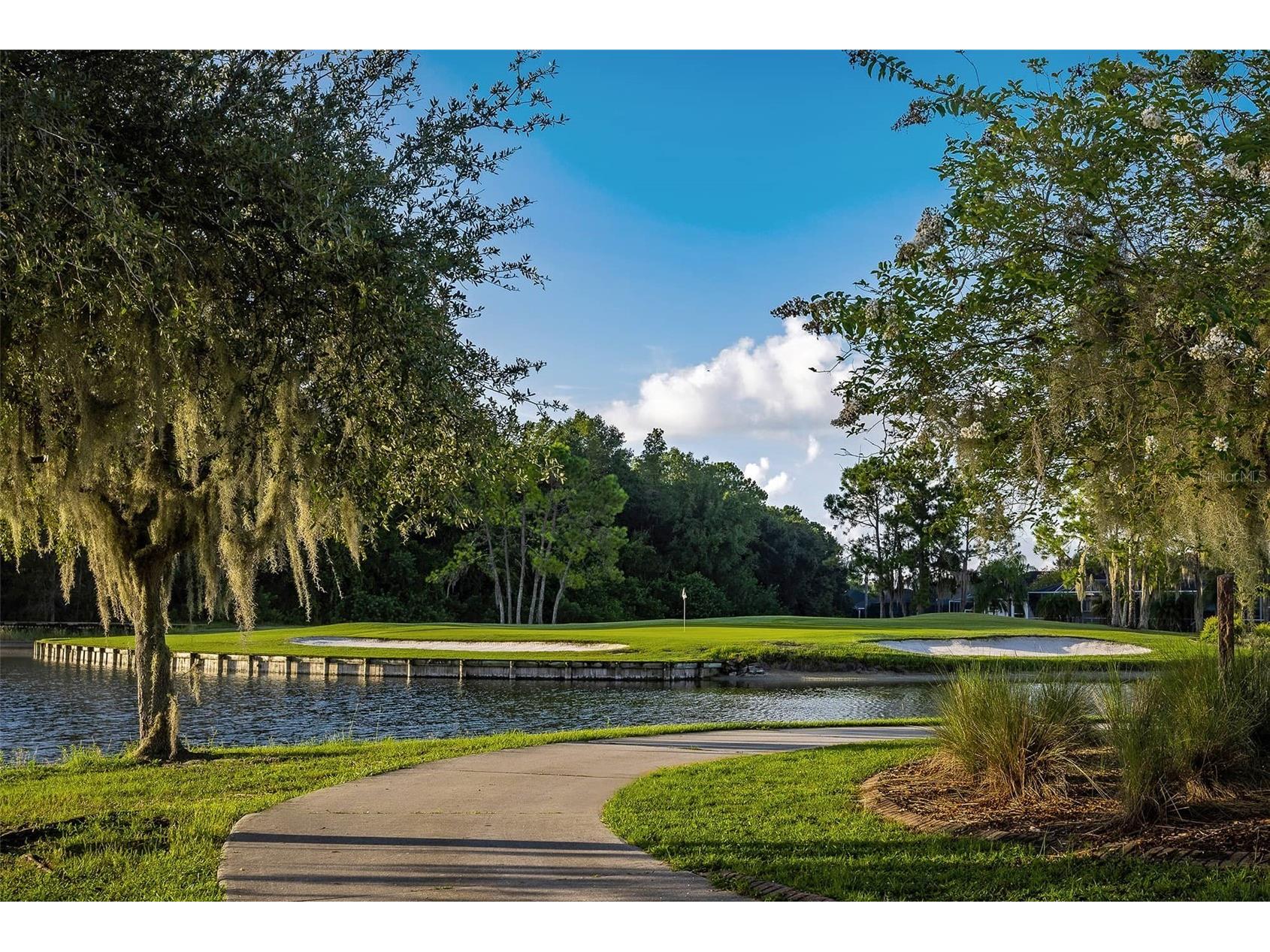 1444 Canberley Court Trinity FL 34655 A4691637 image48