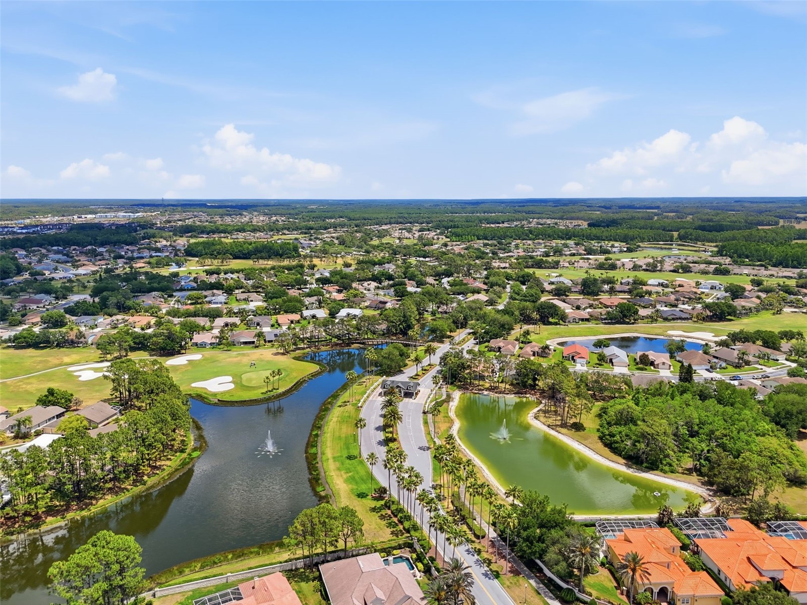 1444 Canberley Court Trinity FL 34655 A4691637 image49