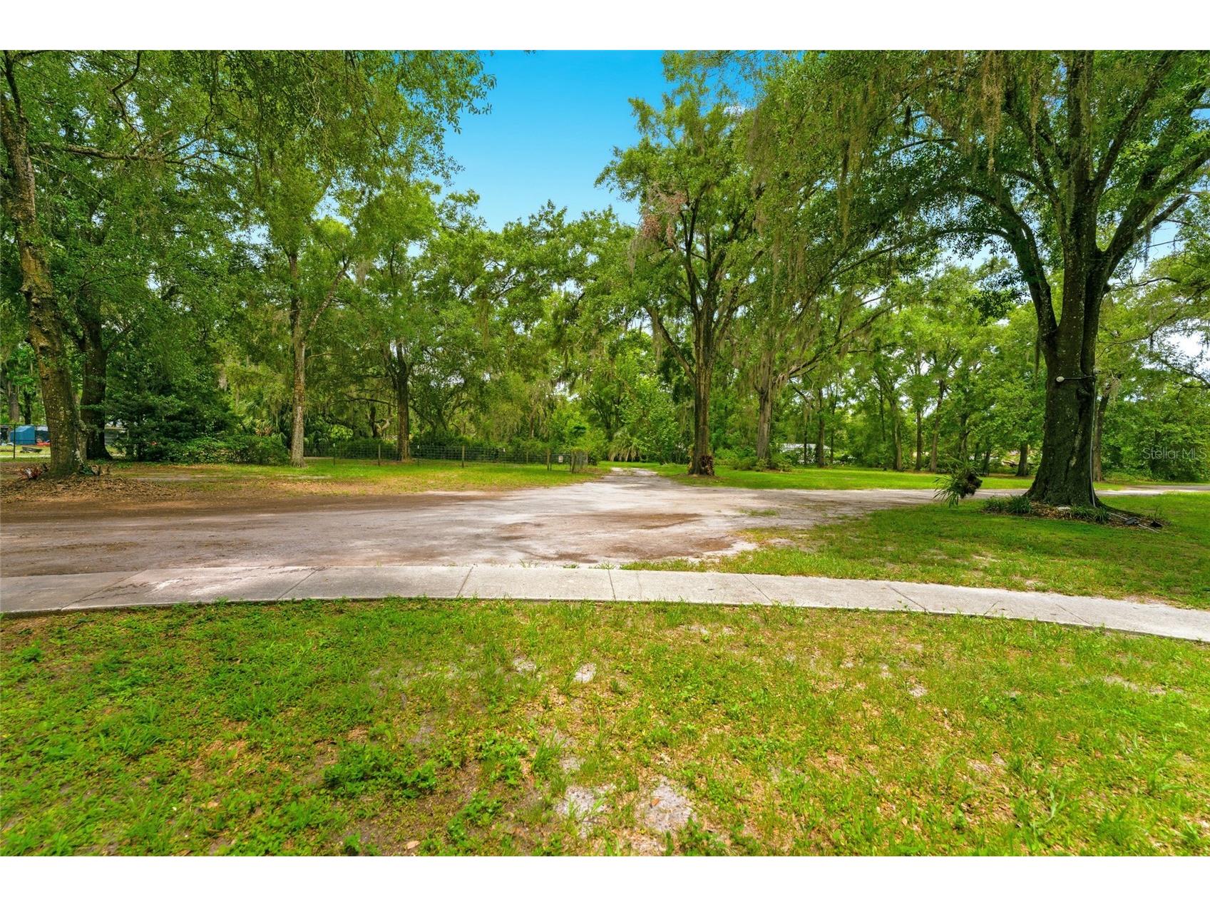 1444 Chesapeake Drive Odessa FL 33556 - LAKE SEMINOLE TB8522437 image25