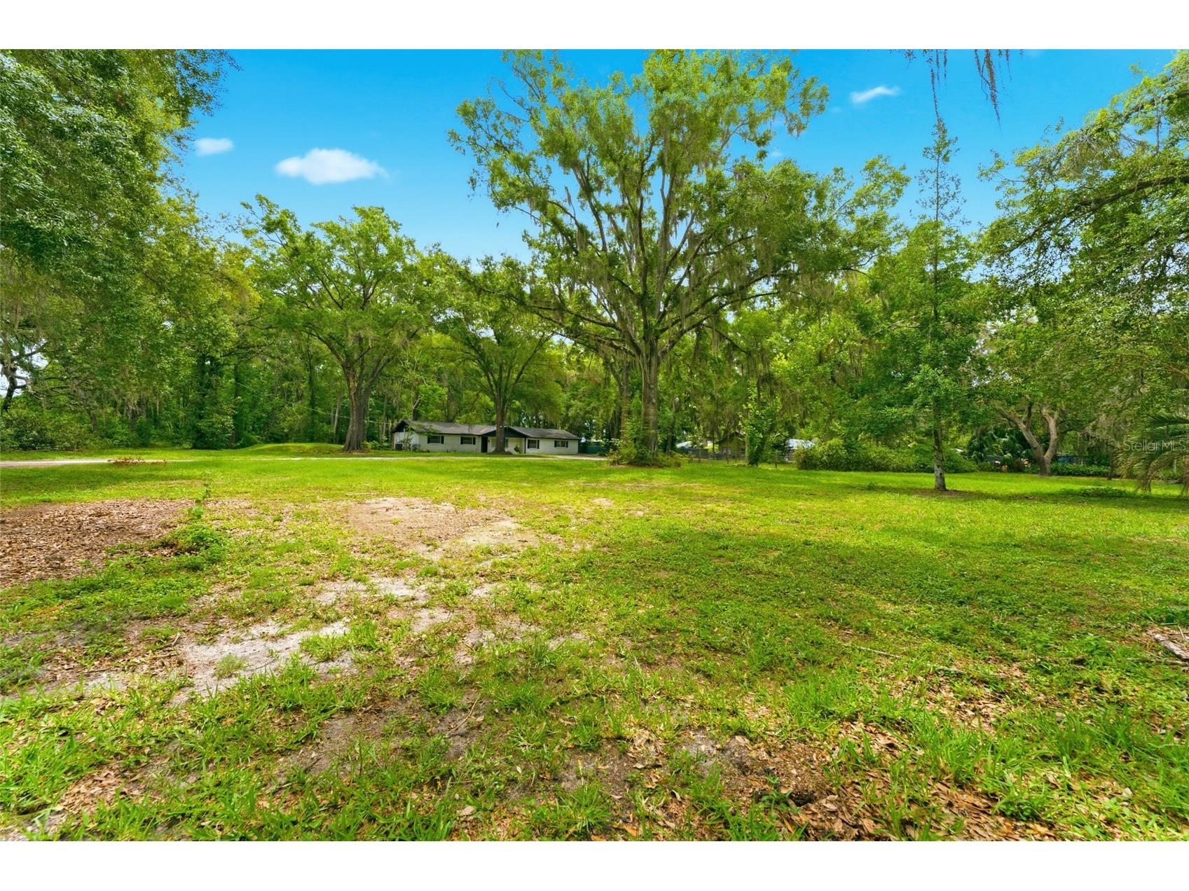 1444 Chesapeake Drive Odessa FL 33556 - LAKE SEMINOLE TB8522437 image26