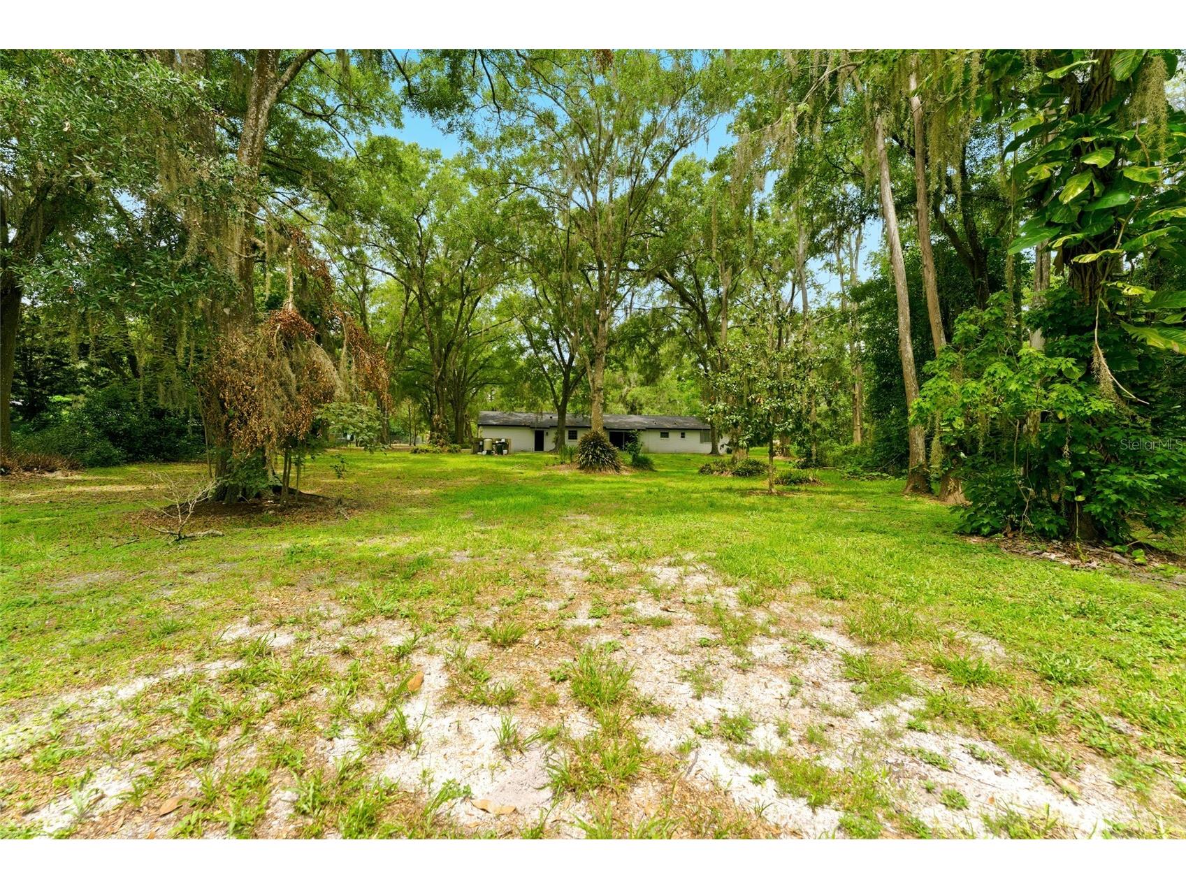 1444 Chesapeake Drive Odessa FL 33556 - LAKE SEMINOLE TB8522437 image31