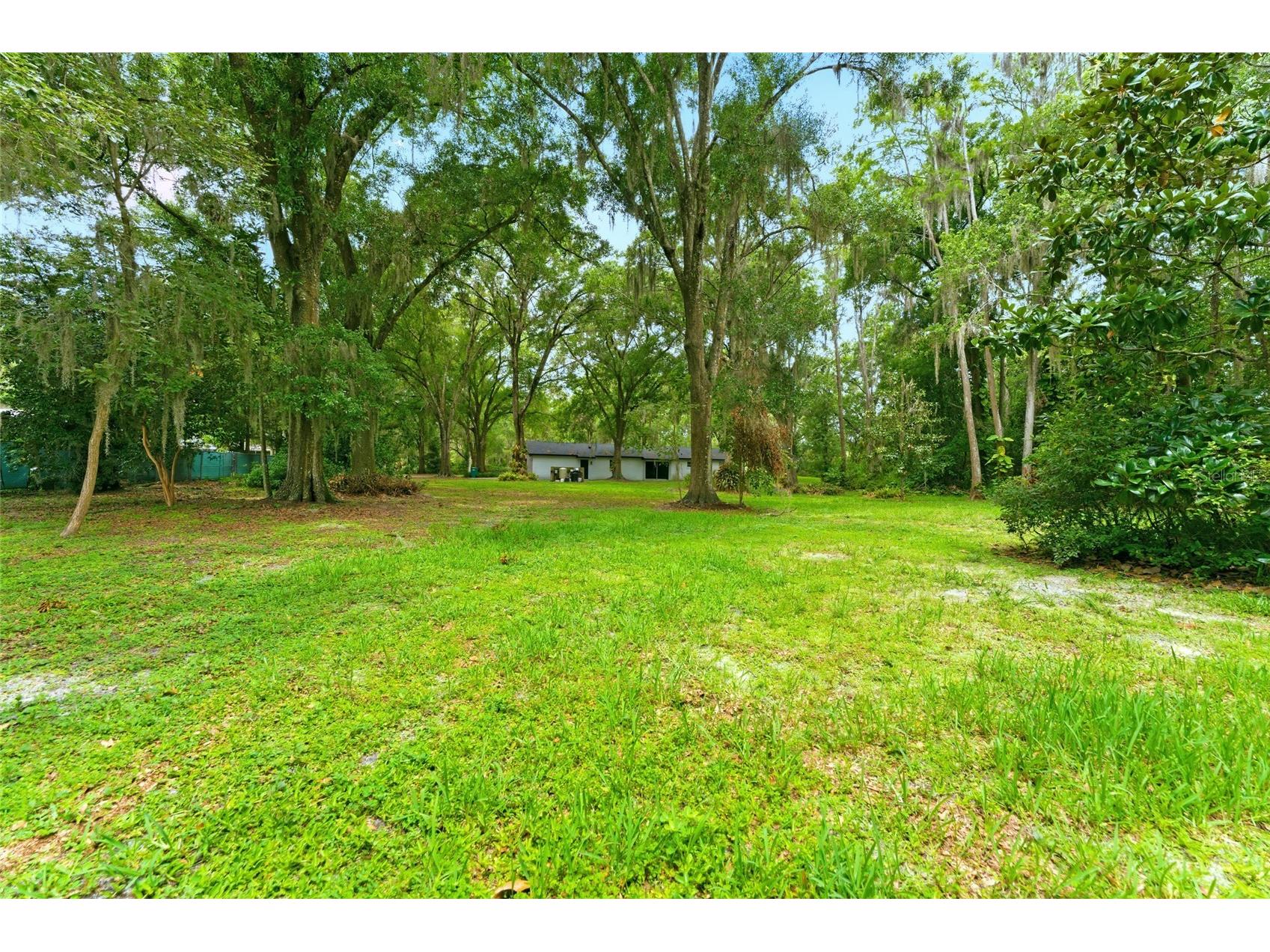 1444 Chesapeake Drive Odessa FL 33556 - LAKE SEMINOLE TB8522437 image32