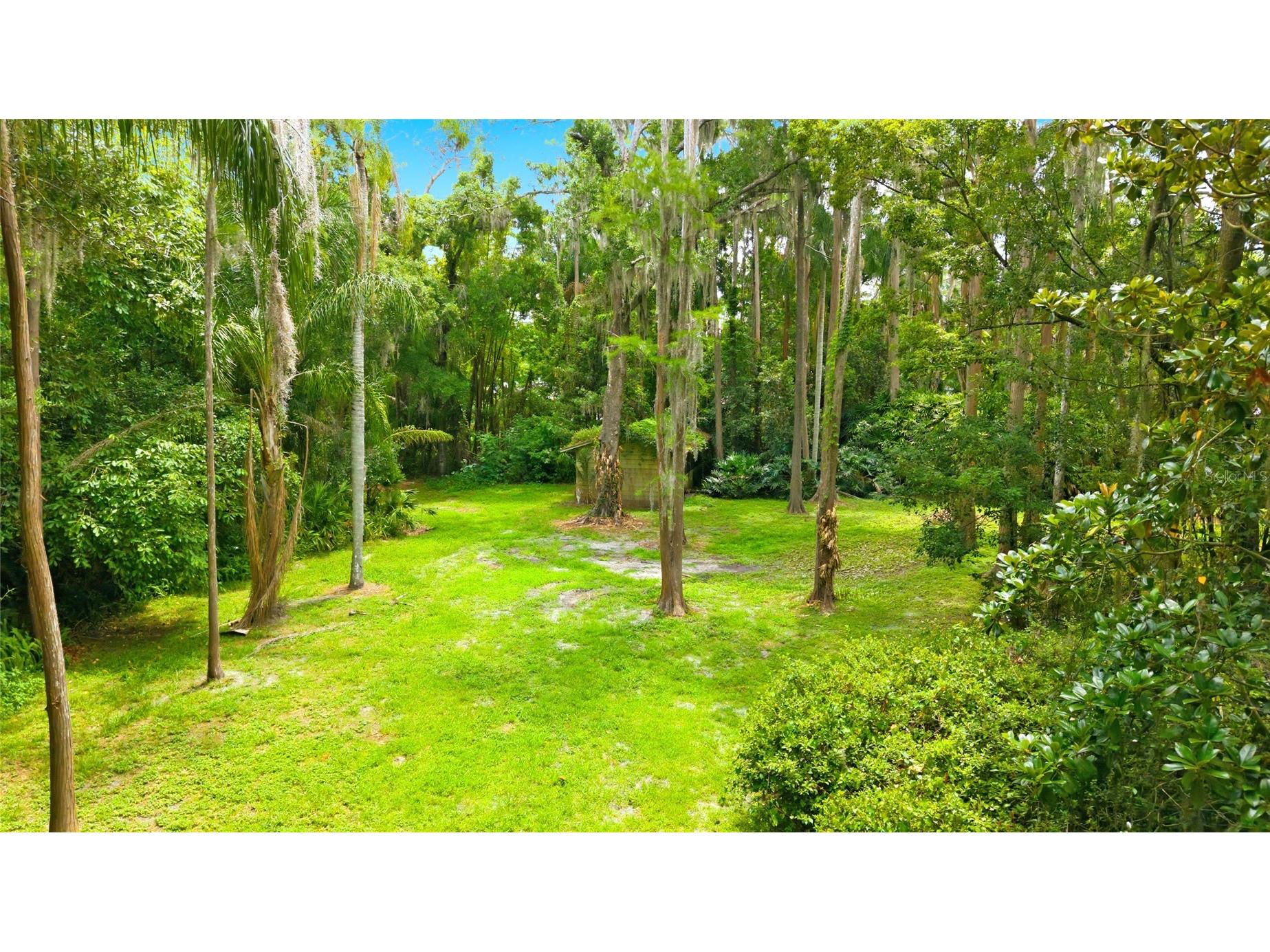 1444 Chesapeake Drive Odessa FL 33556 - LAKE SEMINOLE TB8522437 image33