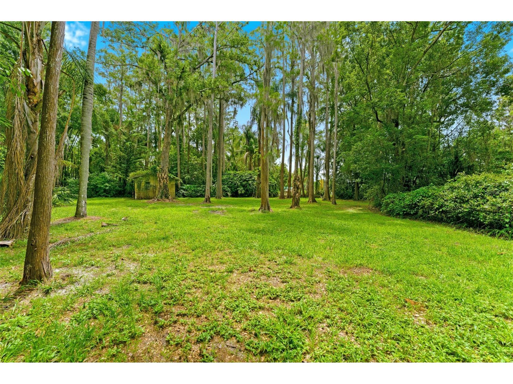1444 Chesapeake Drive Odessa FL 33556 - LAKE SEMINOLE TB8522437 image34
