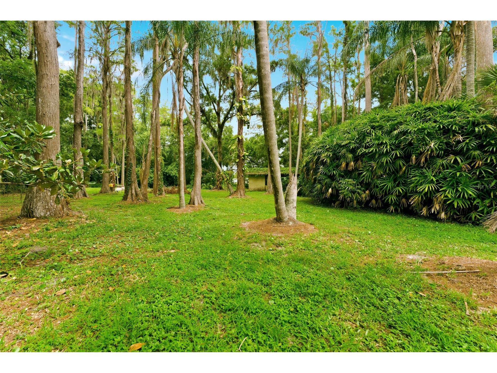 1444 Chesapeake Drive Odessa FL 33556 - LAKE SEMINOLE TB8522437 image35