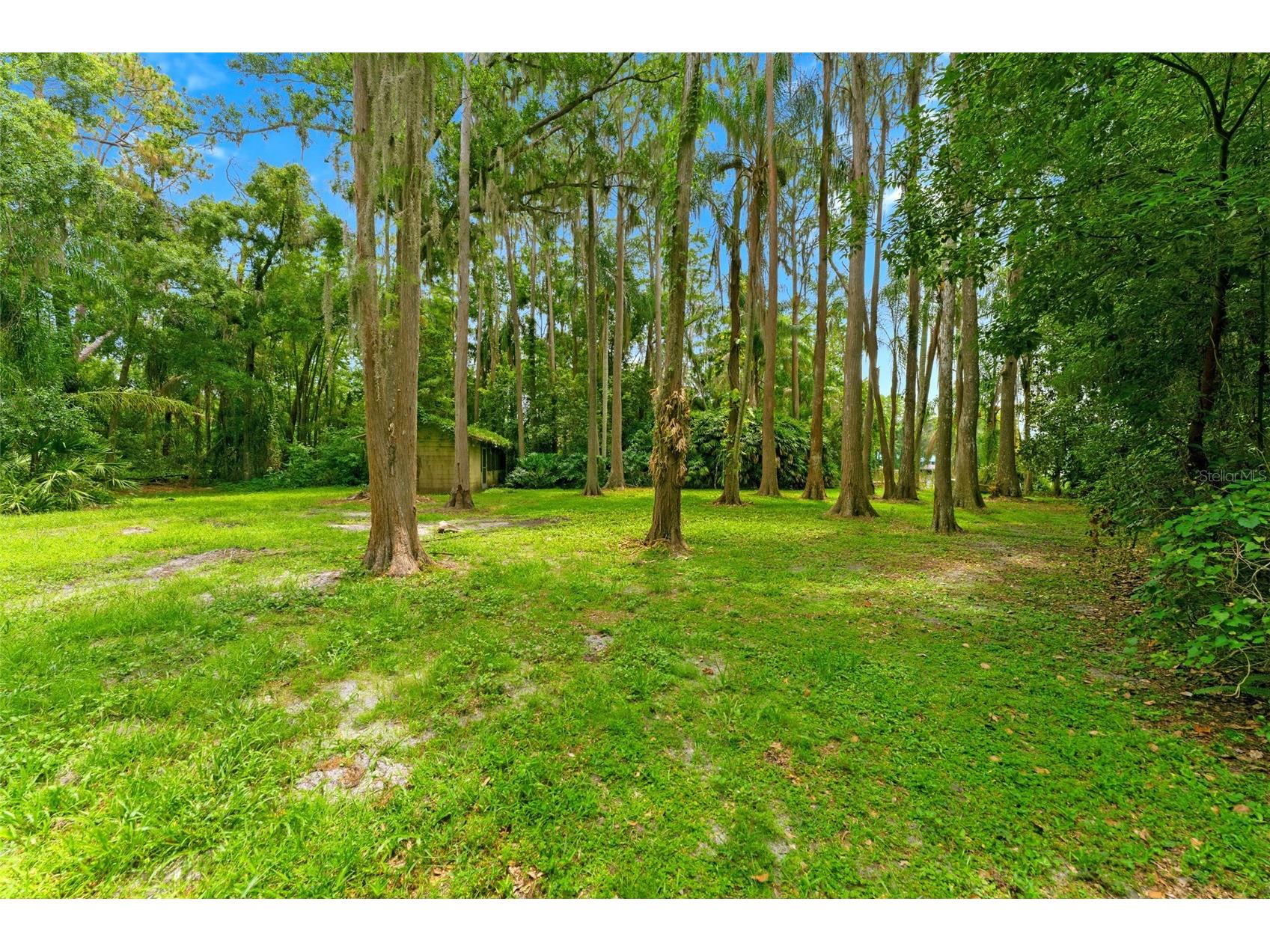1444 Chesapeake Drive Odessa FL 33556 - LAKE SEMINOLE TB8522437 image36