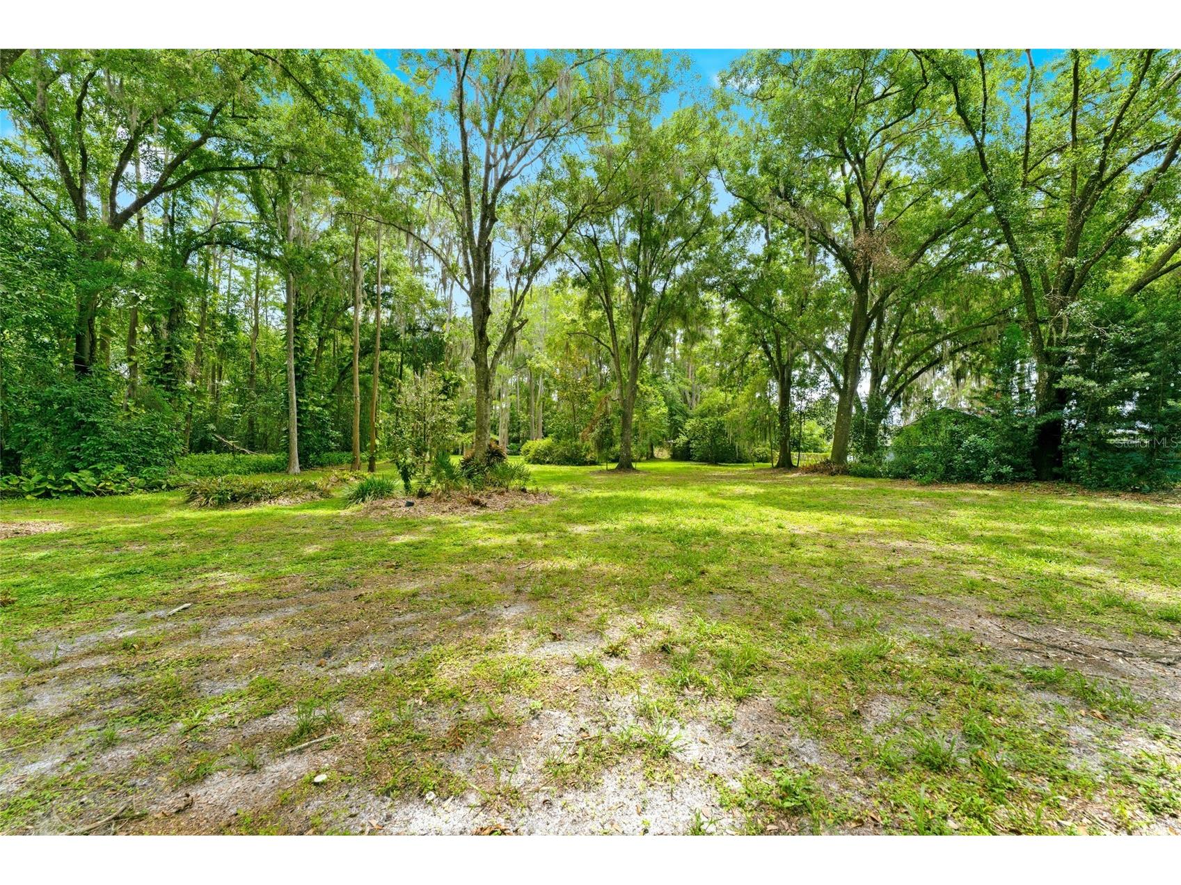1444 Chesapeake Drive Odessa FL 33556 - LAKE SEMINOLE TB8522437 image37