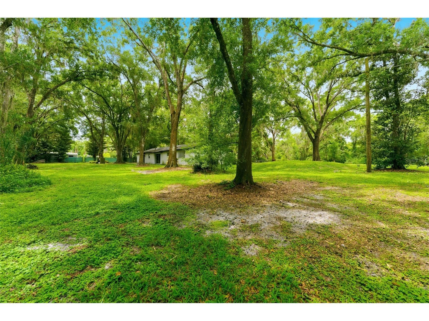 1444 Chesapeake Drive Odessa FL 33556 - LAKE SEMINOLE TB8522437 image38