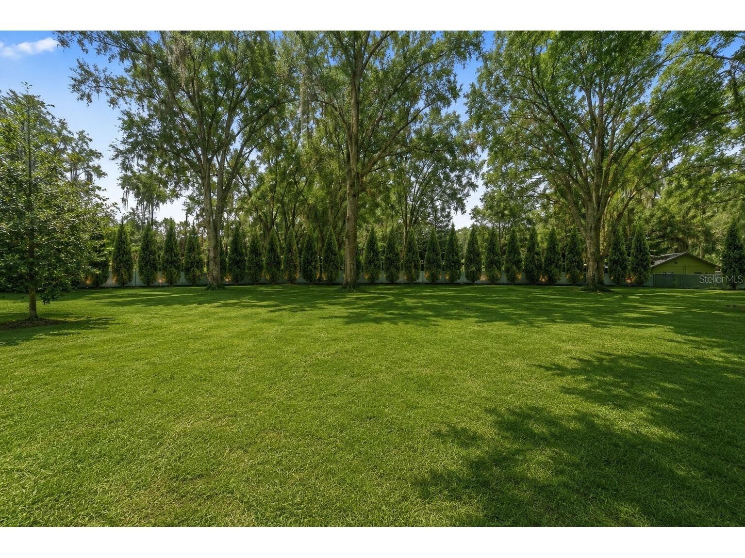 1444 Chesapeake Drive Odessa FL 33556 - LAKE SEMINOLE TB8522437 image8