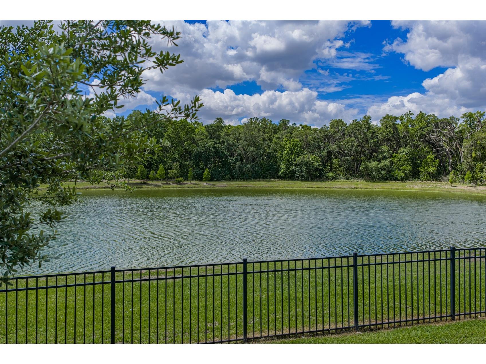 1444 Cypress View Lane Lakeland FL 33811 L4961437 image30