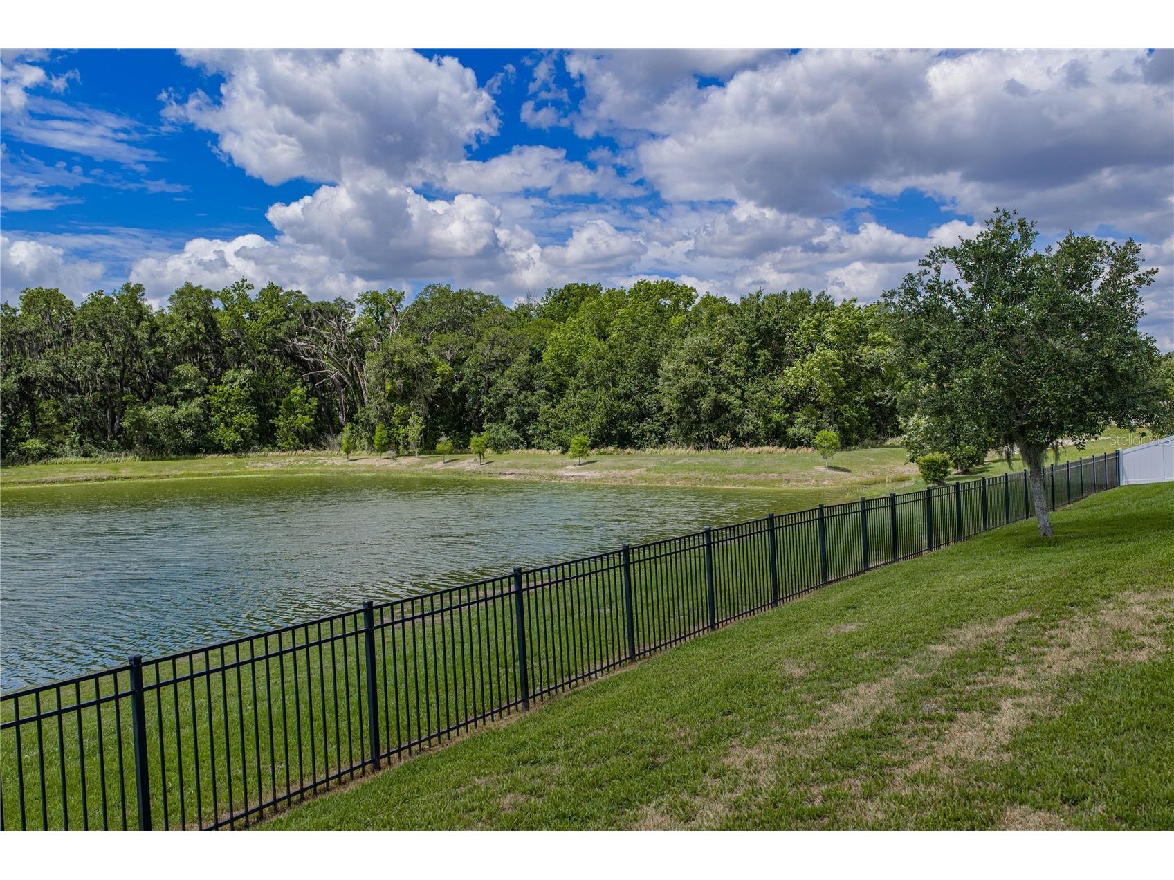 1444 Cypress View Lane Lakeland FL 33811 L4961437 image31