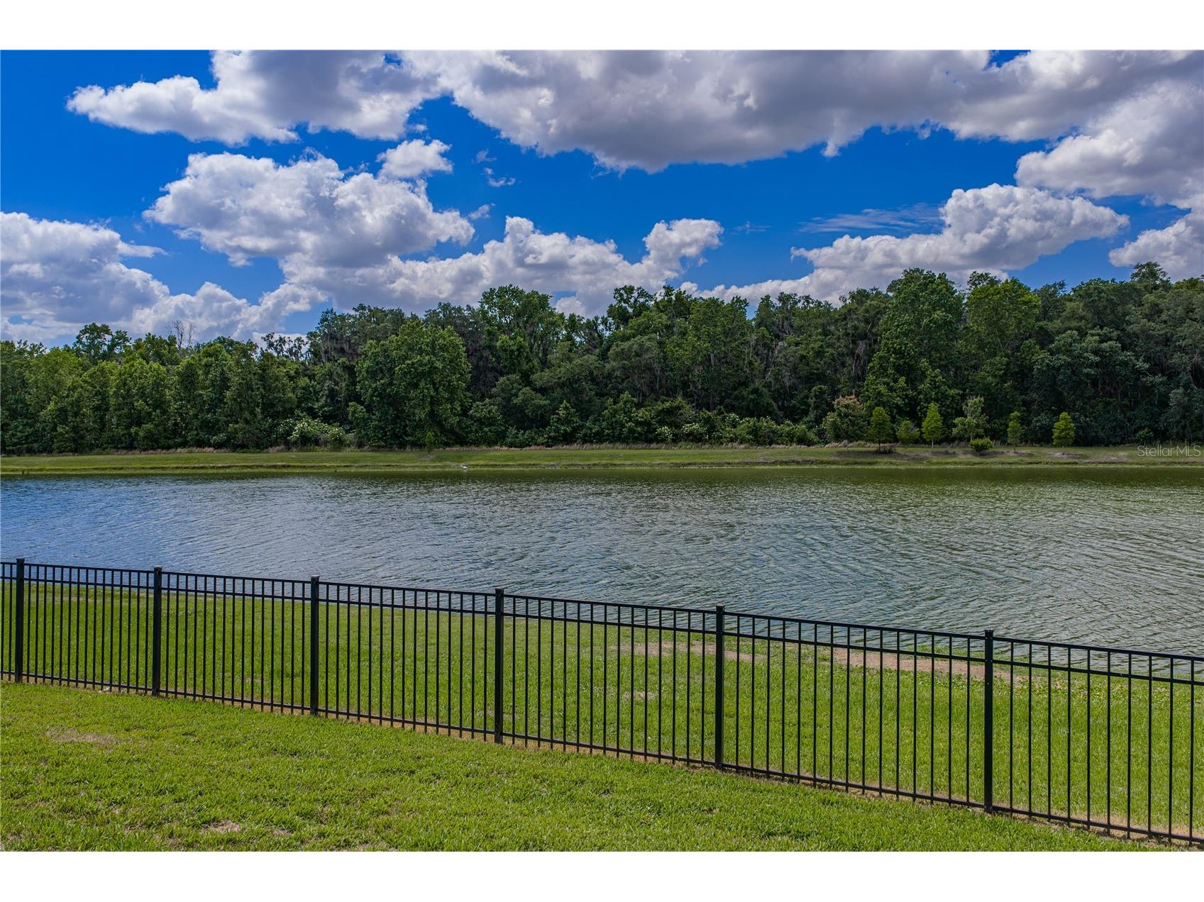 1444 Cypress View Lane Lakeland FL 33811 L4961437 image32