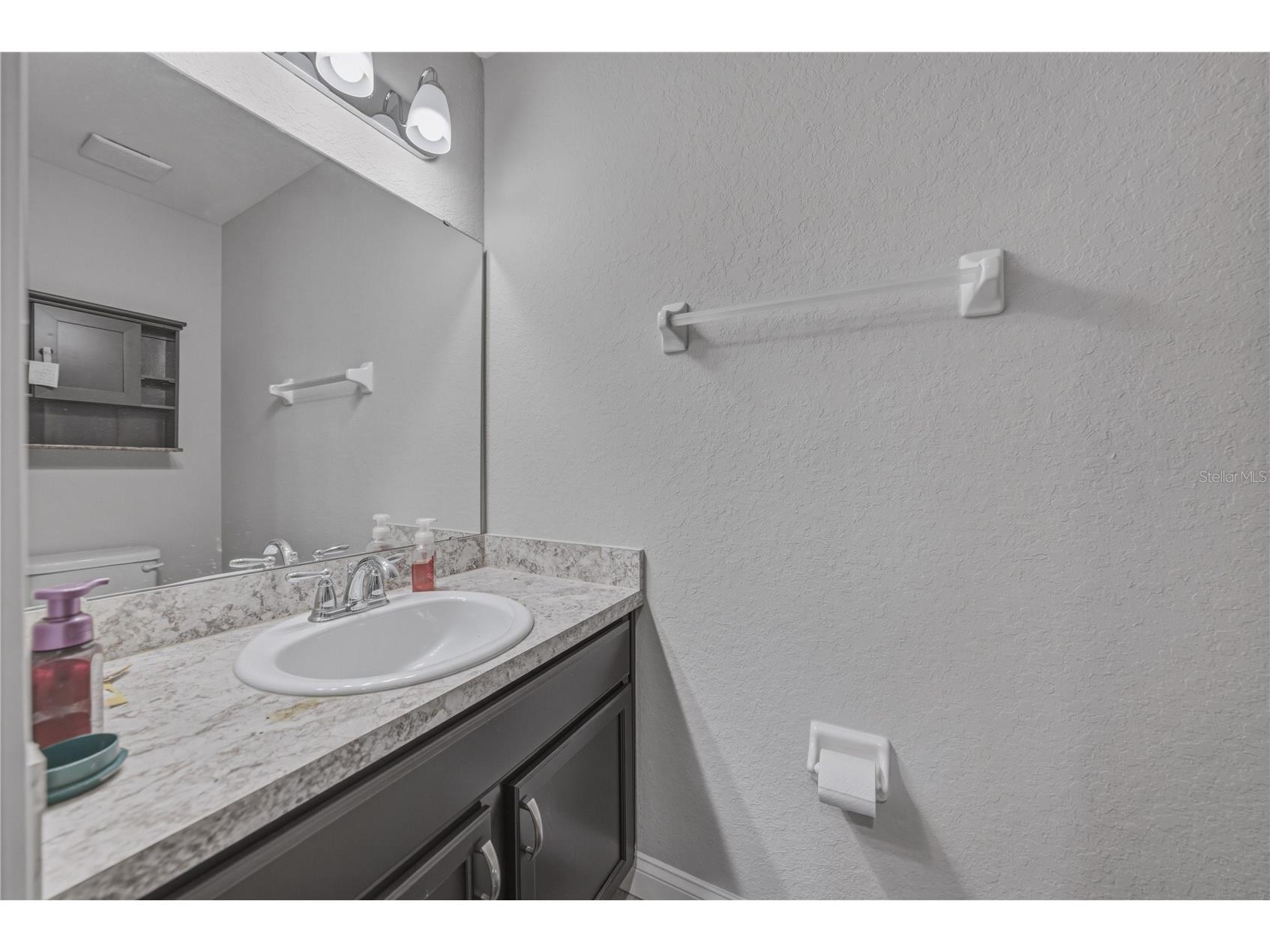 1444 Cypress View Lane Lakeland FL 33811 L4961437 image42