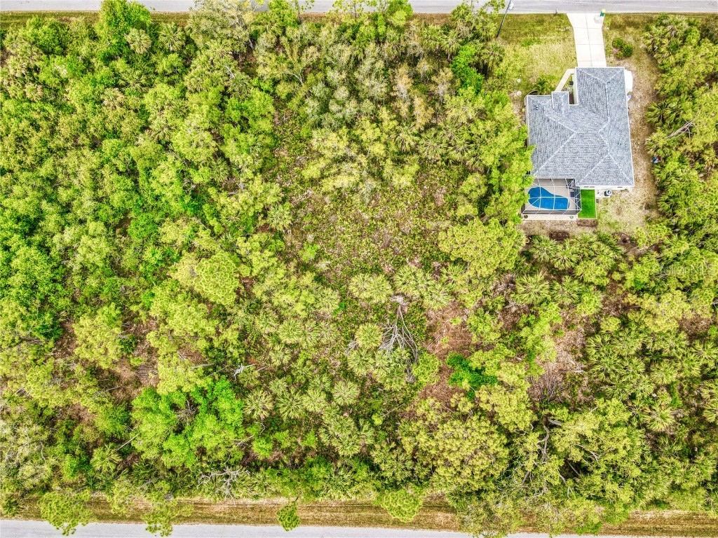 1444 Lace Terrace Port Charlotte FL 33953 O6294670 image6