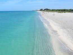 1444 Strada D Argento Venice FL 34292 A4672833 image25