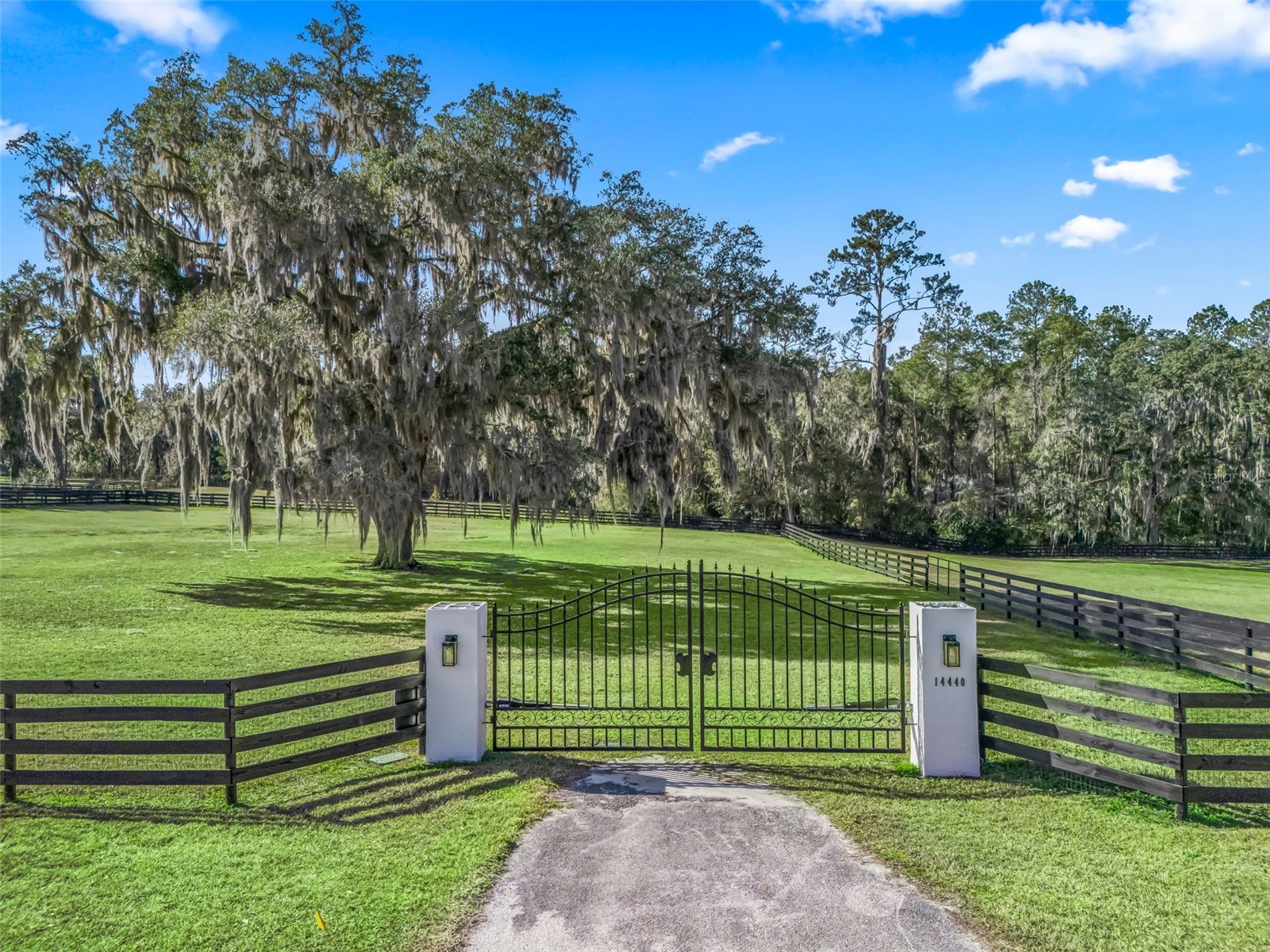 14440 NW Highway 225a Reddick FL 32686 OM717171 image3