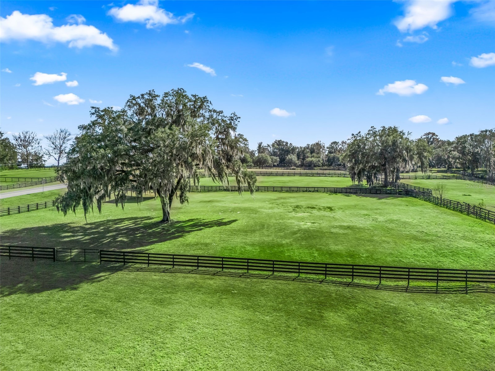 14440 NW Highway 225a Reddick FL 32686 OM717171 image7