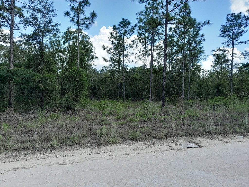 14440 SE 21st Place Morriston FL 32668 OM679456 image1