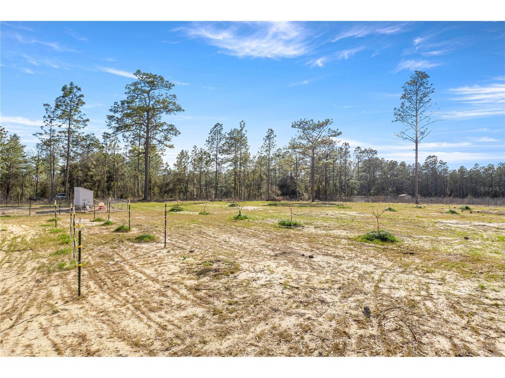 14440 SE 21st Place Morriston FL 32668 OM719815 image29