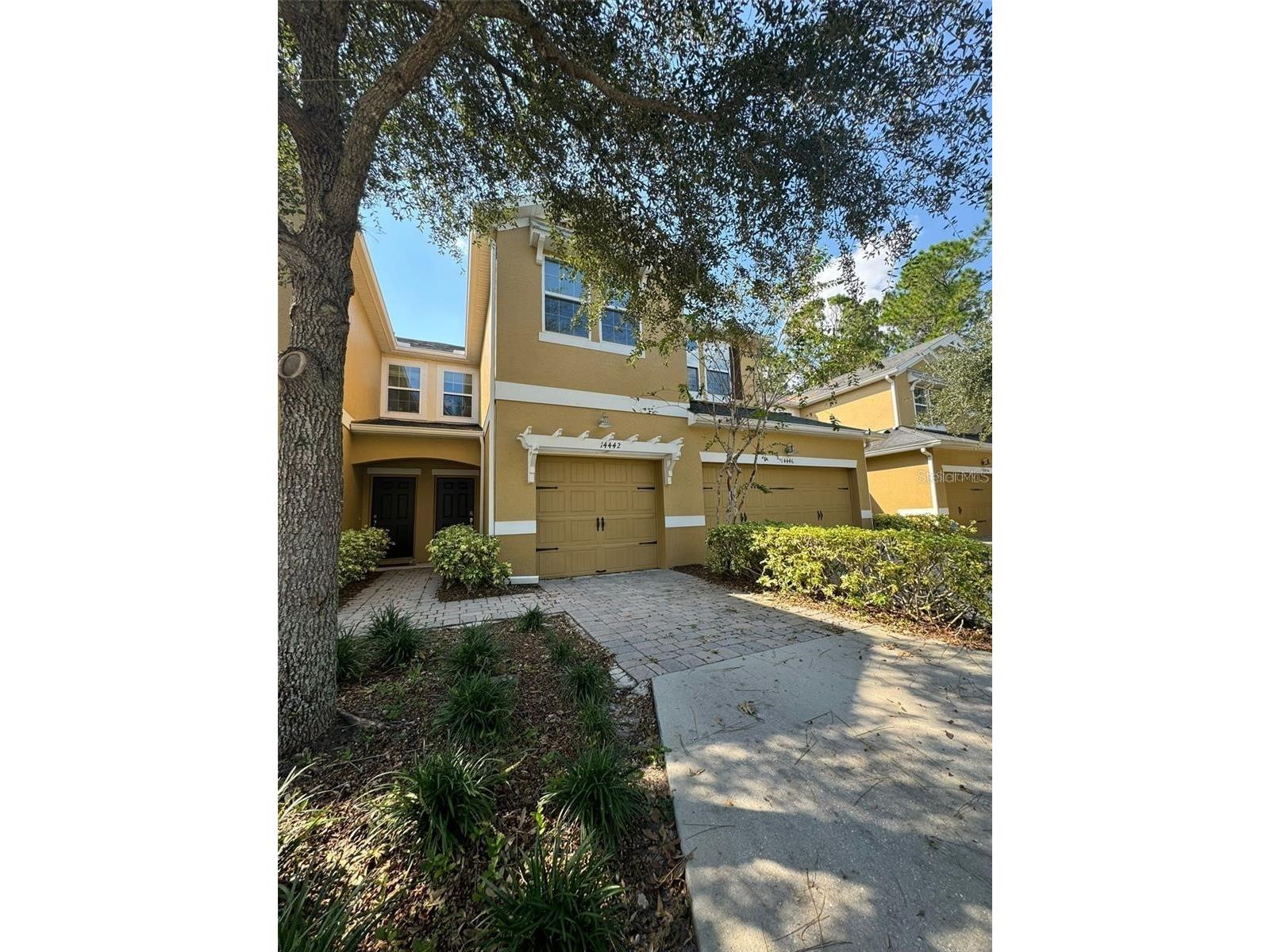 14442 Desert Haven Street #4305 Windermere FL 34786 O6410152 image3