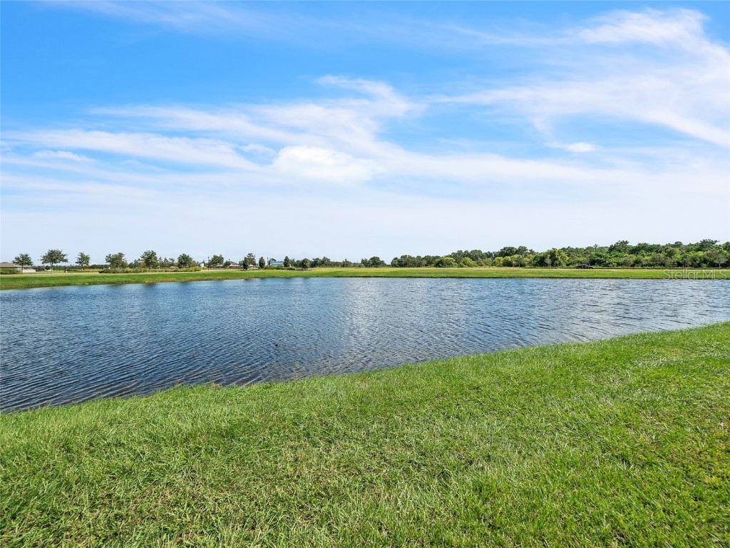 14443 Touch Gold Lane Ruskin FL 33573 TB8436808 image29