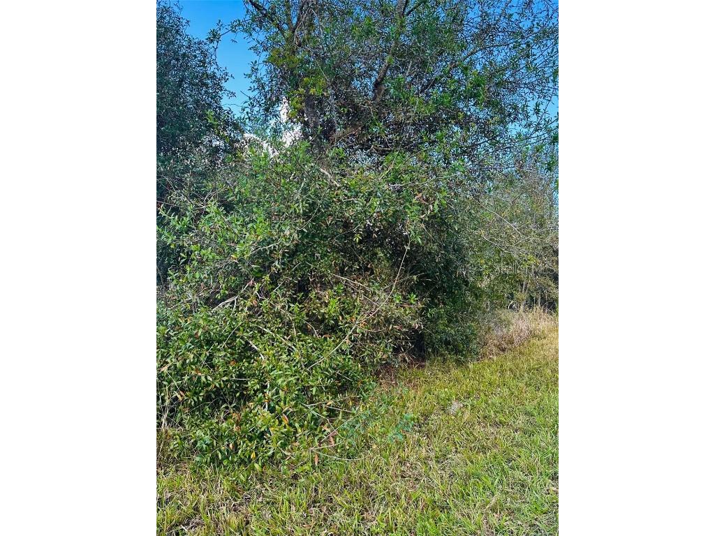 14444 Rowan Avenue Port Charlotte FL 33953 A4632847 image1