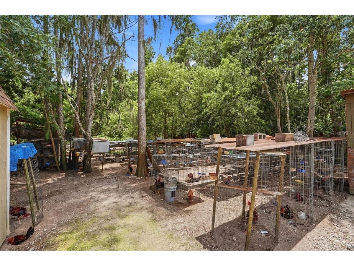 14445 Commonwealth Avenue N Polk City FL 33868 L4962360 image39