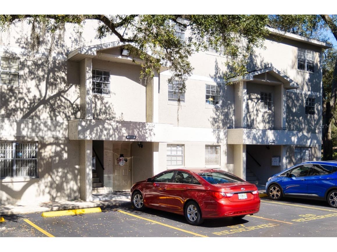 14446 Reuter Strasse Circle #3 Tampa FL 33613 U8219618 image1