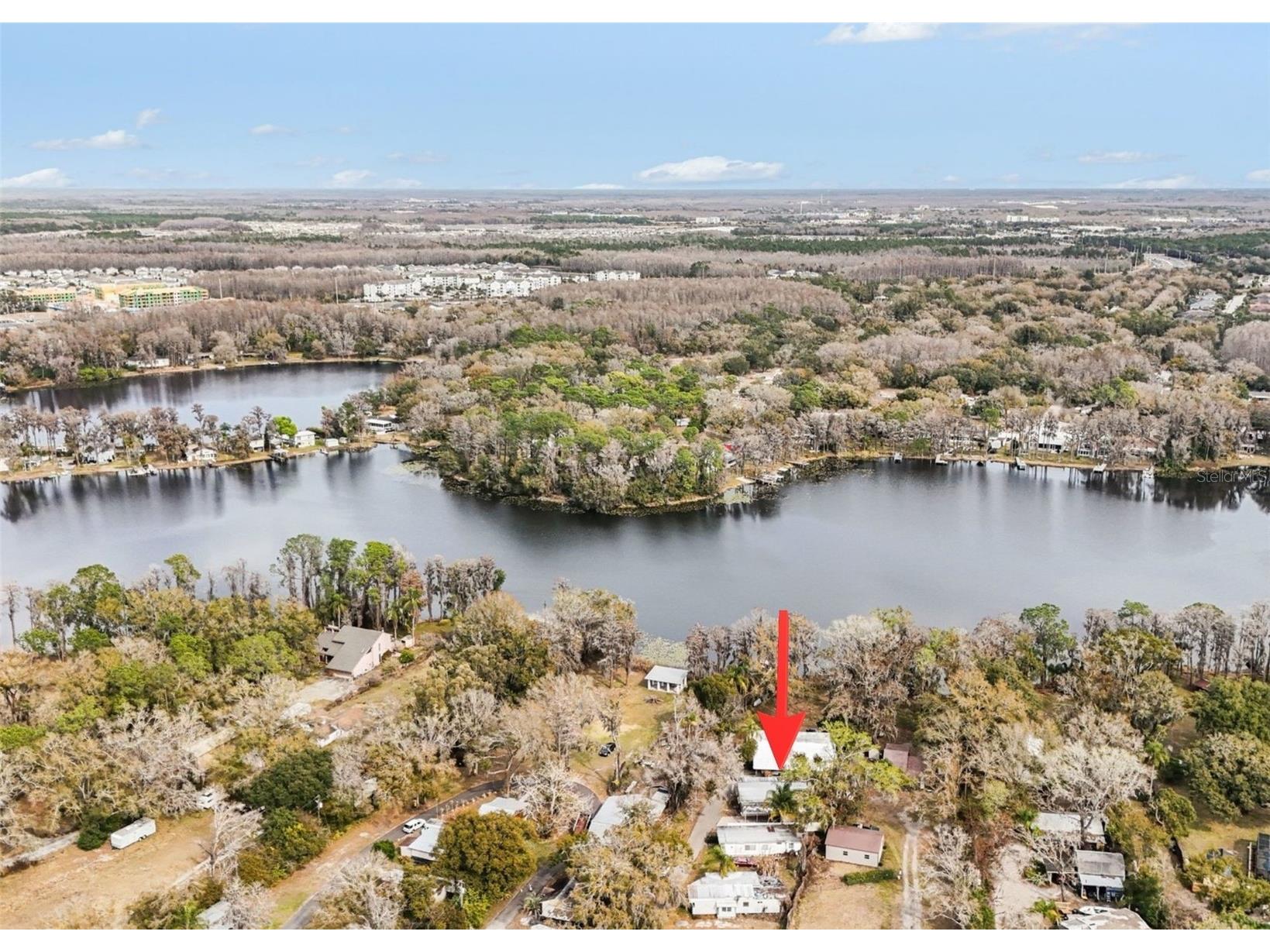 14446 Shangrila Lane Odessa FL 33556 - LAKE MINNIOLA TB8475984 image35
