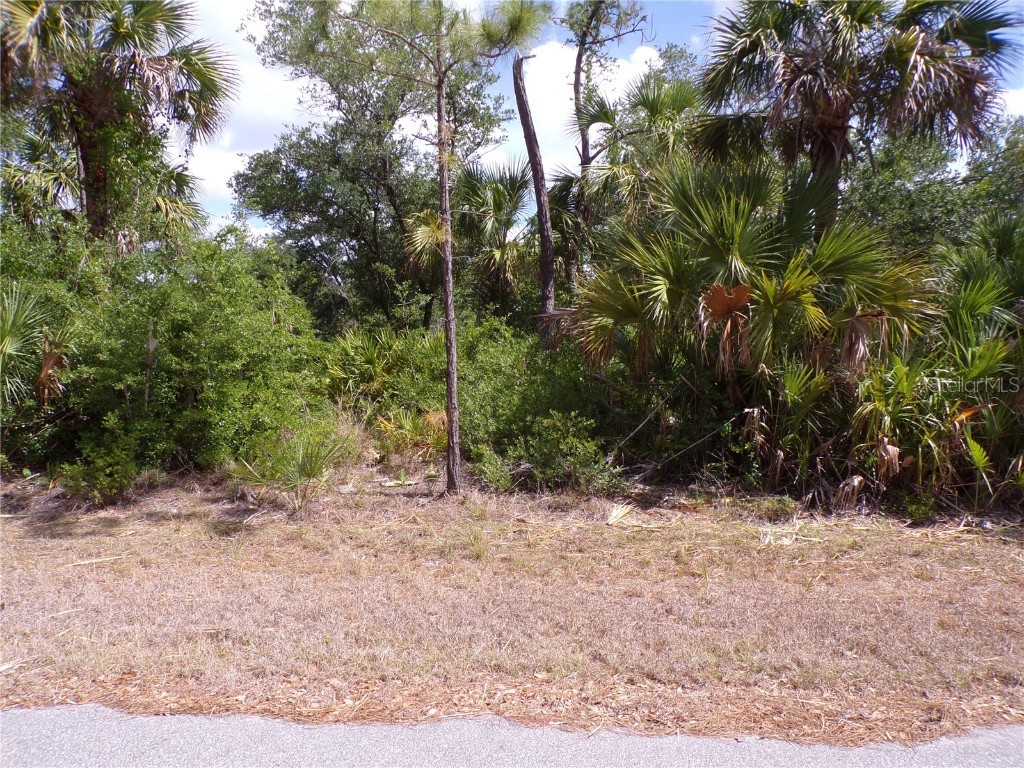 14448 Mcmillin Avenue Port Charlotte FL 33953 C7509411 image5